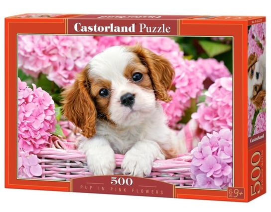 Castorland, puzzle, Pup in Pink Flowers, 500 el. Castorland