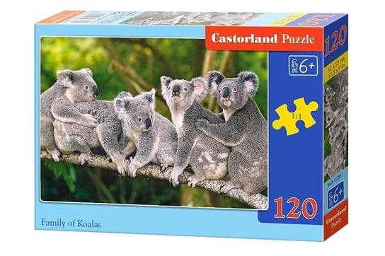 Castorland, puzzle, Rodzina Koali, 120 el. Castorland