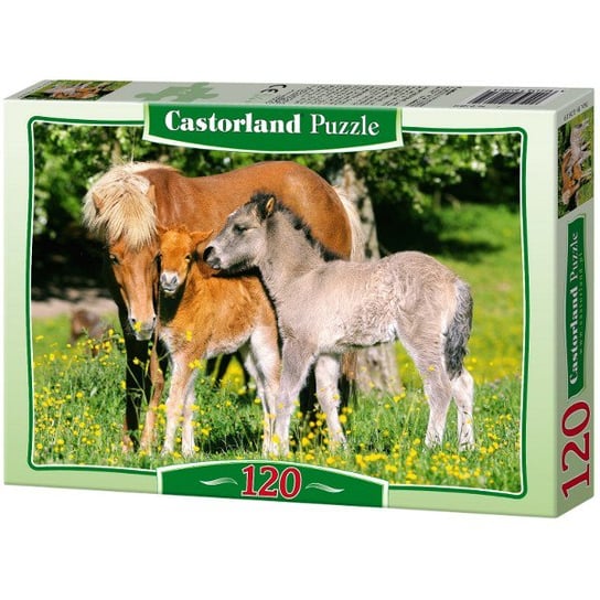 Castorland, puzzle, Rodzina koni, 120 el. Castorland