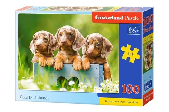 Castorland, puzzle, Słodkie jamniki, 100 el. Castorland