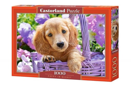 Castorland, puzzle, Szczeniaczek w koszyku, 1000 el. Castorland