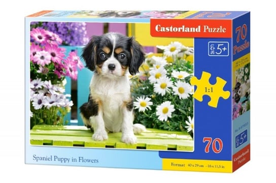 Castorland, puzzle, Szczeniak spaniela w kwiatach, 70 el. Castorland