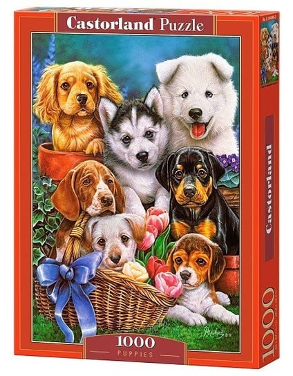 Castorland- Splendore Puzzle, Colore Vario, 5904438300495
