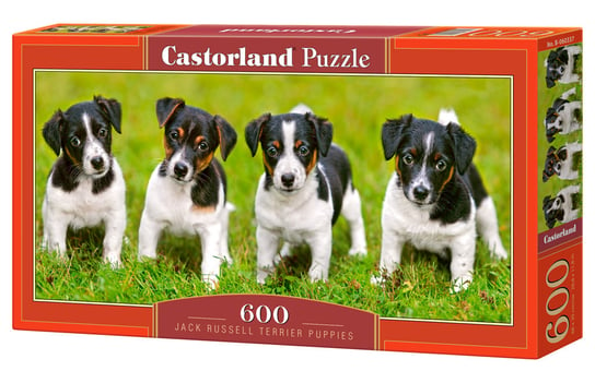 Castorland, puzzle, Szczenięta Jack Russell Terrier, 600 el. Castorland