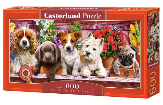 Castorland, puzzle, Szczenięta na półce, 600 el. Castorland