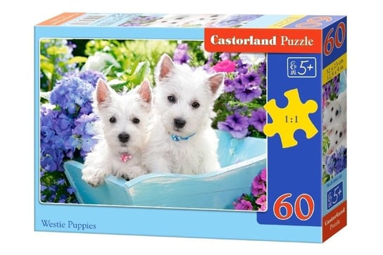 Castorland, puzzle, Westie Puppies Castorland, 60 el. Castorland