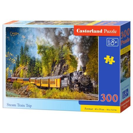 Castorland, puzzle, Wycieczka pociągiem parowym, 300 el. Castorland
