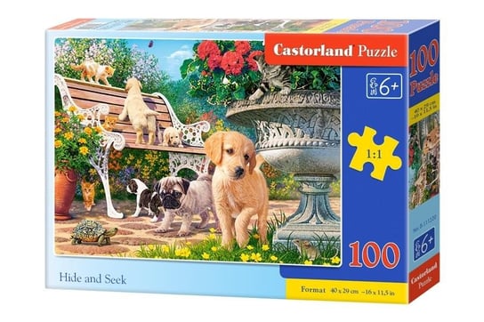 Castorland, puzzle, Zabawa w chowanego, 100 el. Castorland