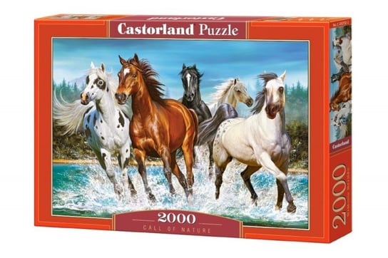 Castorland, puzzle, Zew natury, 2000 el. Castorland