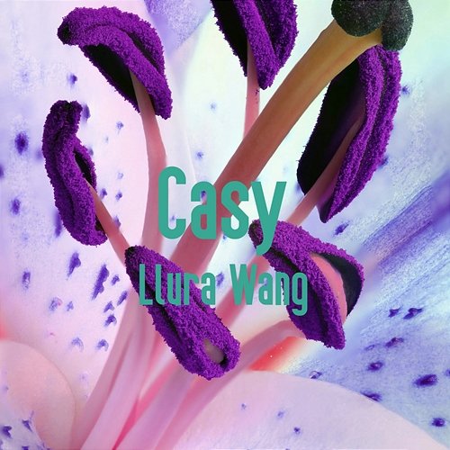 Casy Llura Wang