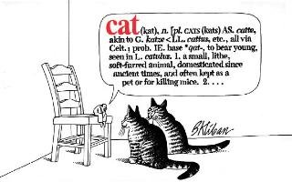 Cat Kliban B.