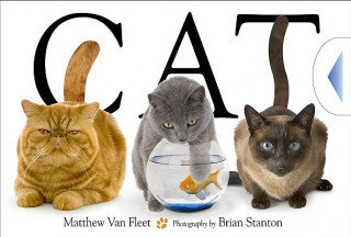 Cat Van Fleet Matthew