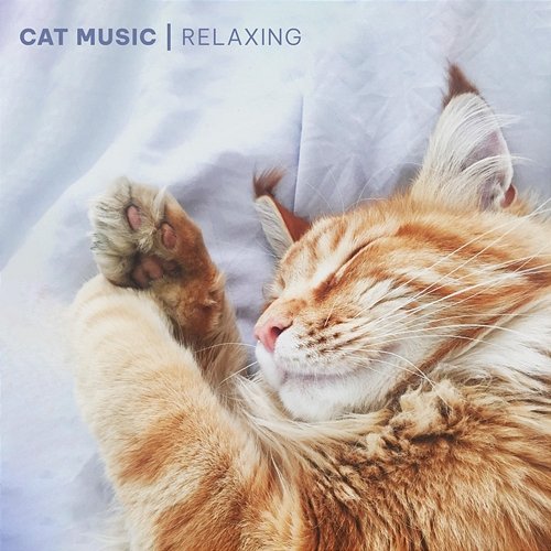 Cat Music - Relaxing Songs for Cats and Kittens Cat Music, Cat Music Experience, Music for Cats