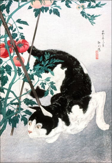Cat with Tomato Plant, Hiroaki Takahashi - plakat 40x50 cm Galeria Plakatu