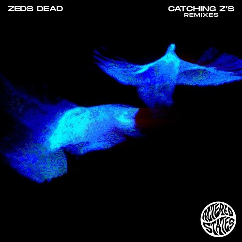 Catching Z's Zeds Dead