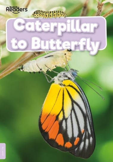 Caterpillar to Butterfly William Anthony