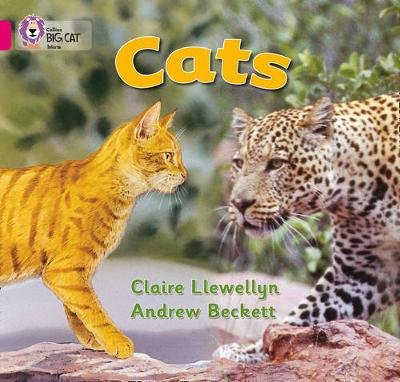 Cats: Band 01b/Pink B Llewellyn Claire