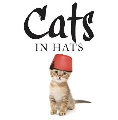 Cats in Hats Scratching Kat