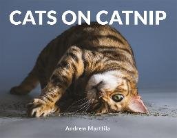 Cats on Catnip Marttila Andrew