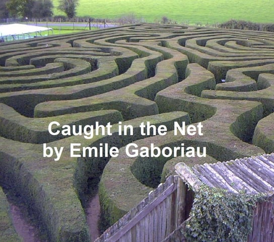 Caught in the Net Emile Gaboriau