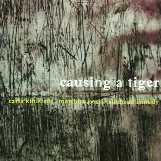 Causing A Tiger Kihlstedt Carla