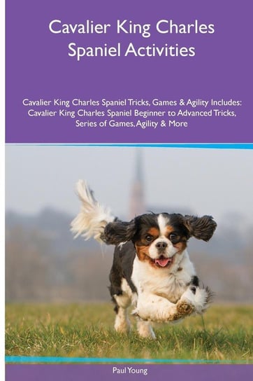 Cavalier King Charles Spaniel  Activities Cavalier King Charles Spaniel Tricks, Games & Agility. Includes Young Paul