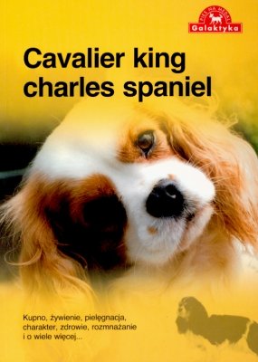 Cavalier king charles spaniel Opracowanie zbiorowe
