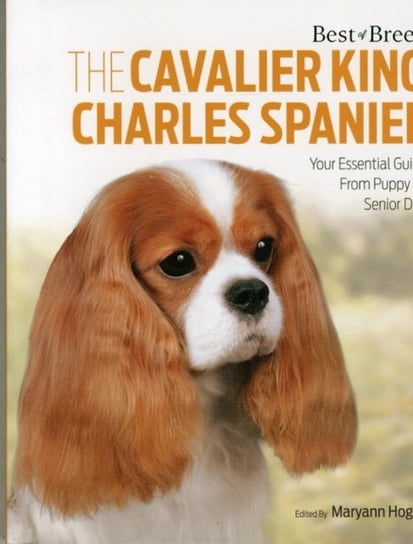 Cavalier King Charles Spaniel Best of Breed Maryann Hogan