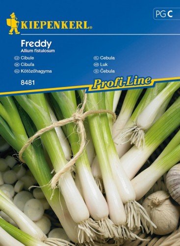 Cebula Freddy Allium fistulosum KIEPENKERL