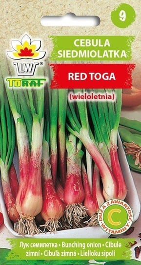 Cebula Siedmiolatka RED TOGA
Allium fistulosum L. Toraf
