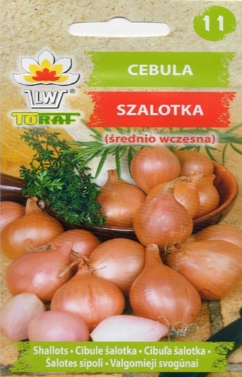 Cebula Szalotka Conservor F1 średnio wczesny 20 szt nasiona warzyw cebuli Toraf