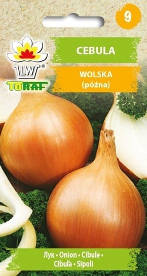 Cebula WOLSKA (późna)
Allium cepa L. Toraf