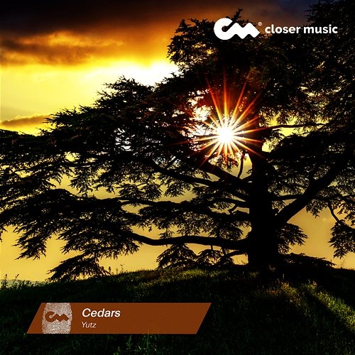 Cedars Yutz