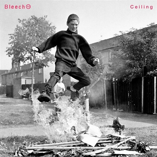 Ceiling Bleech 9:3