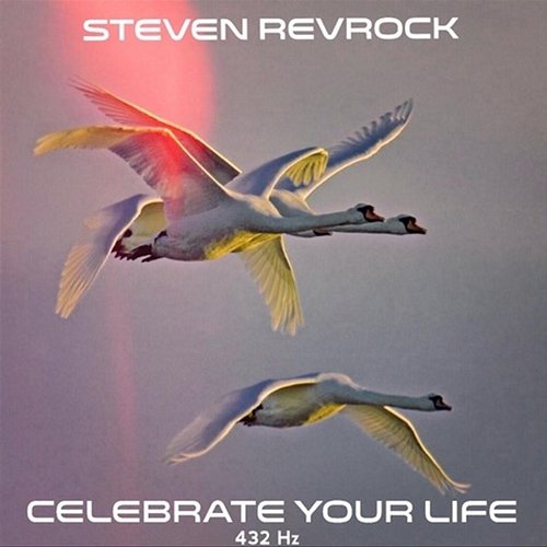 Celebrate Your Life 432 Hz Steven Revrock