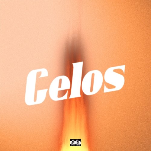 Celos Never bi