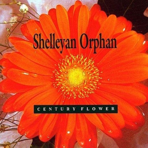 Century Flower Shelleyan Orphan
