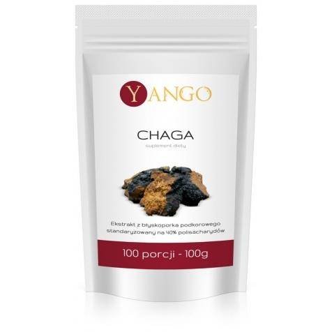 Chaga suplement diety 100g Yango