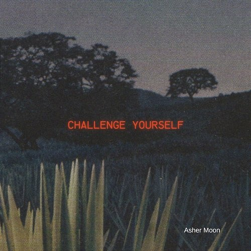 Challenge yourself Asher Moon