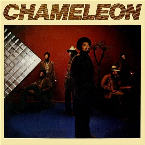 Chameleon Chameleon