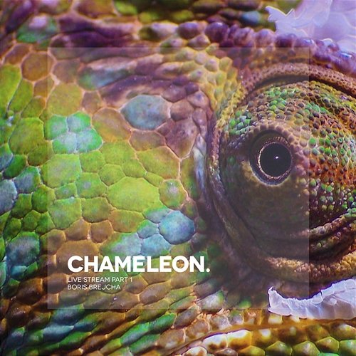 Chameleon Boris Brejcha