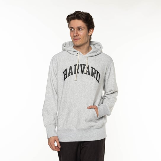 Champion Hooded Sweatshirt GREY Harvard - L Champion