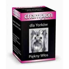 Champion Witaminy dla Yorków Piękny Włos 30 Tabletek DermaPharm