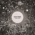 Chapters Adriaan De Roover, OakTree
