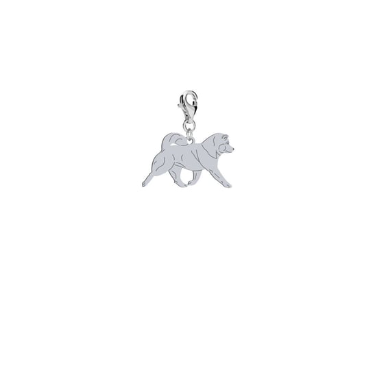Charms Alaskan Malamute srebro pozłacane GRAWER - MEJK Jewellery Radziszewska