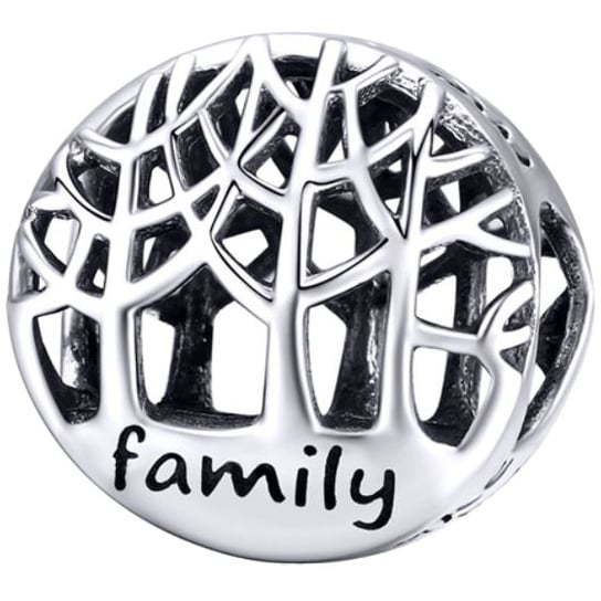 CHARMS FAMILY srebro 925 koralik S925 WatchMe