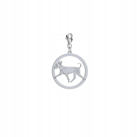 Charms Srebrny z American Hairless Terrier 925 Biżuteria Prezent DEDYKACJA Mejk Jewellery