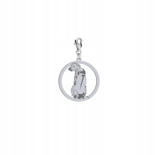 Charms Srebrny z psem Rhodesian Ridgeback 925 Biżuteria DEDYKACJA ...