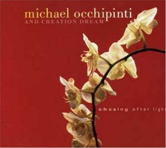 Chasing After Light Occhipinti Michael