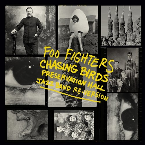 Chasing Birds Foo Fighters